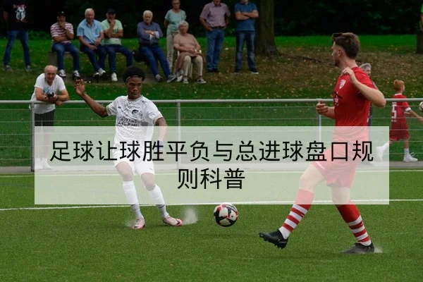 足球让球胜平负与总进球盘口规则科普